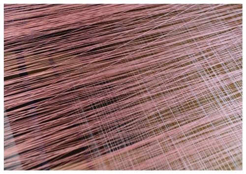 Wind Carpet