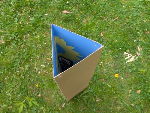 AUFFORSTUNG