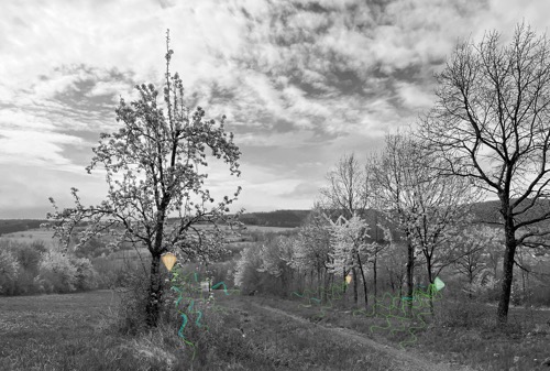 „rec_aud I“ bis „rec_aud III“ (Fotos aus der Entwurfsphase)