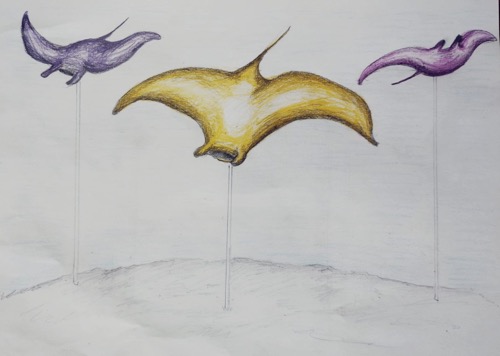 RAYS