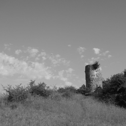 Frischer Wind