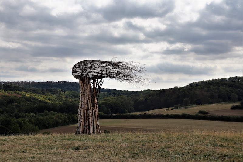 Cloud Tree / Foto: Heidi Preiss
