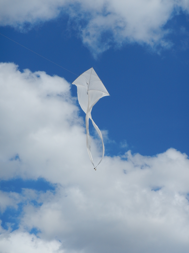 Musical Kites : Sounds From The Clouds / Foto: Wilfried Krauss